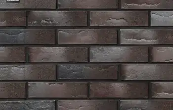 Кирпич BRAER PRO 10.11 1 НФ 