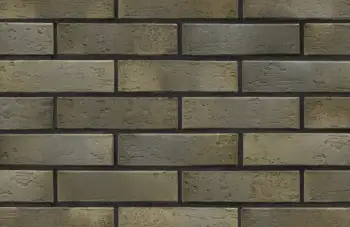 Кирпич BRAER PRO 2.10 1НФ  